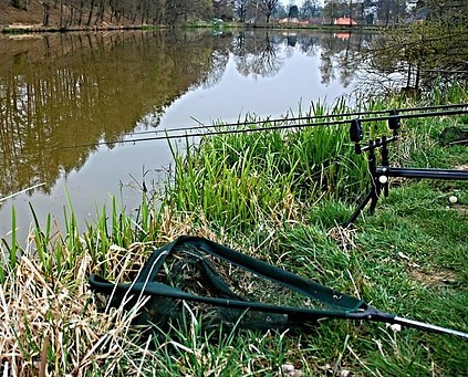 Carp Fishing Rods – Know what you are looking for