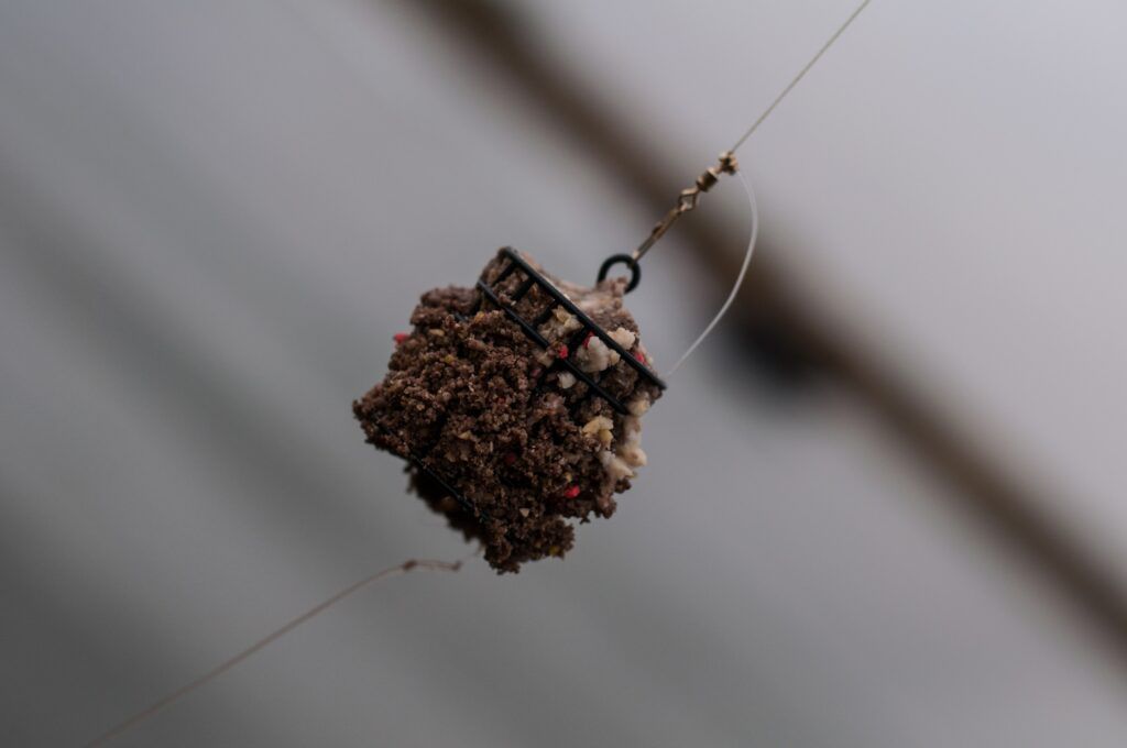 What is Feeder Fishing - Cage Feeder