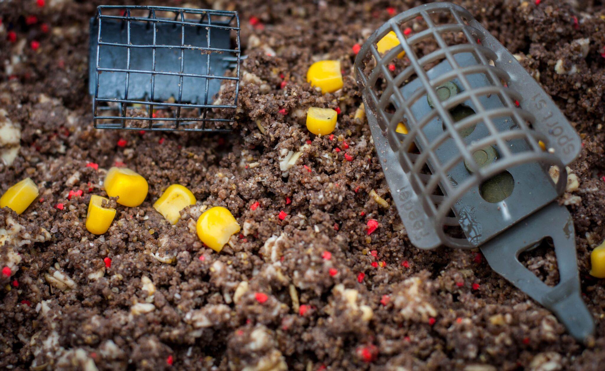 What is Feeder Fishing? Learn the Basics