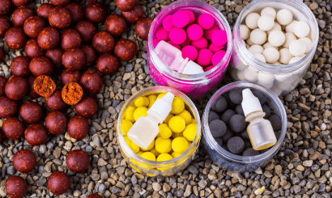 The Best Bait for Carp – Best of the best