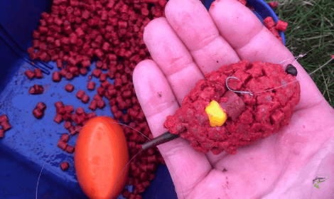 The best bait for carp - method feeder with micropellets