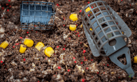 Carp Fishing with Sweetcorn - Feeders in groundbait