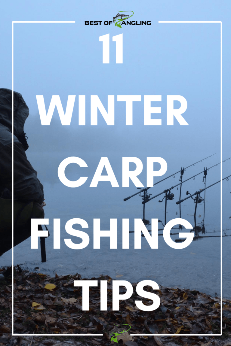 11 Winter Carp Fishing Tips Best of Angling