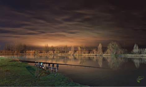 How to find carp - Carp  Fishing at night