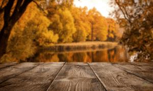 Autumn Carp Fishing Tips - Carp in lake with autumn leaves