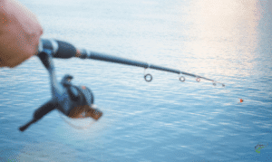Float Fishing for Carp - Carp fishing rod and reel