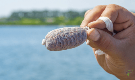 Winter carp fishing rigs - Man holding mesh pva bag