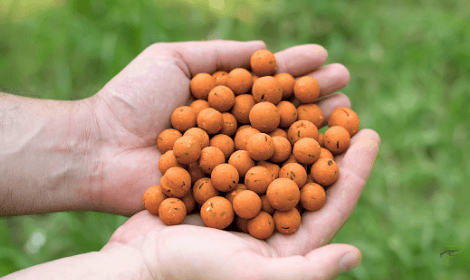  Qué comen las carpas - un puñado de boilies