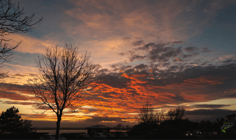 Do Carp Feed in the Winter - Mackerel Skies