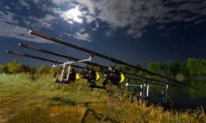Do Moon Phases Affect Carp fishing - carp rods at night with moon overhead