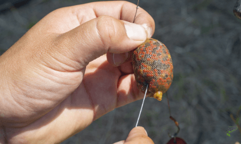 Pre-baiting for carp - Man Holding Pva Bag Rig