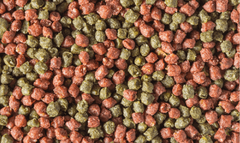 Pre-baiting for carp - Mixed Pellets