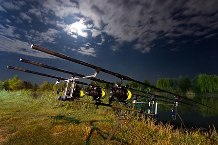 Do Moon Phases Affect Carp Fishing?- A Myth or Not?