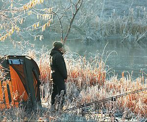 What Is the Best Bait for Carp Fishing in Winter?