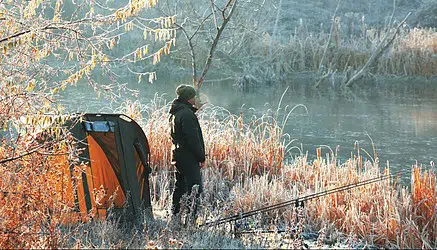 What Is the Best Bait for Carp Fishing in Winter?