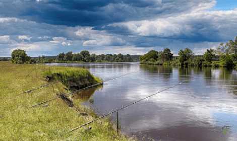 How to Catch Carp from Rivers - carp rods fishing in river