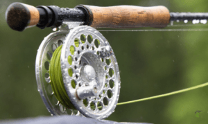How to fly fish for carp - Fly Rod and Reel with Rain Drops