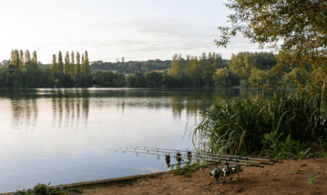 Margin Fishing for Carp - Photo of peg and swim on sunny day