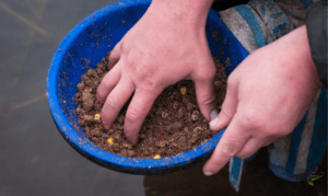 how to catch carp from a river- mixed carp bait for feeding