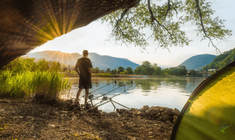 Best Season for Carp Fishing - Sunny lake with carp fisherman