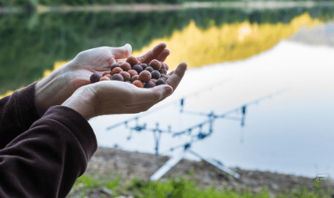 Carp Fishing with Boilies - Man holding boilies infront of carp rods