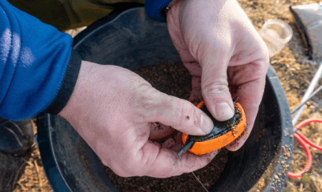 Carp Fishing with Pellets - Moulding Pellets