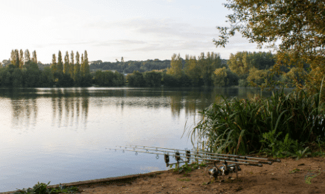 How to catch carp in spring - carp rods in front of carp water in spring