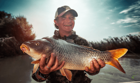 How to Catch Carp? – Full Beginners Guide