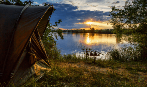 What is Specimen Carp Fishing - Camping gear and carp rods beside a lake with sunset