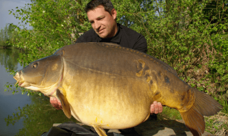 What is specimen Carp Fishing - Man with huge mirror carp