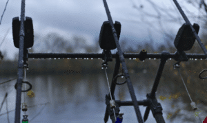how to stalk carp - Carp Fishing in the Rain