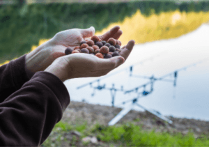 What is coarse fishing - man holding handful of boilies beside coarse fishing rods