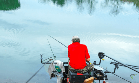 What is commercial carp fishing - match fisherman fishing with a pole