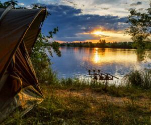 19 Carp Fishing Tips – Try These