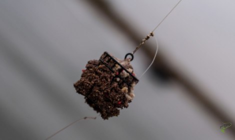 feeder-fishing-for-carp-cage-feeder