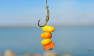 how-to-catch-carp-with-corn-angler-putting-corn-on-hook