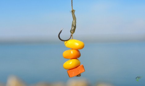 How To Catch Carp with CORN 