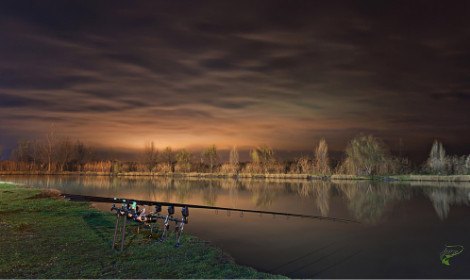 when-are-carp-most-active-carp-fishing-at-night