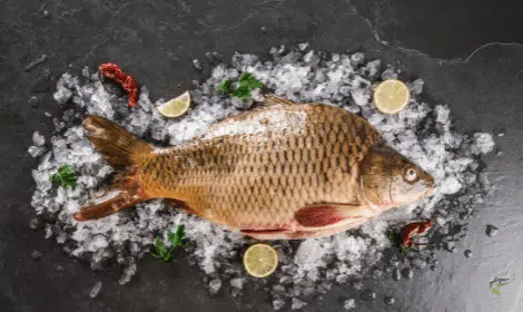 Why does carp get a bad reputation as an edible fish