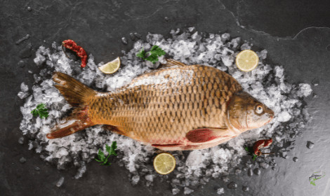 Why does carp get a bad reputation as an edible fish? – Full Details