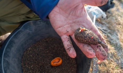 Common Carp  - Man holding method feeder