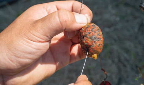 Common Carp - PVA Bag Rig for Catching Carp