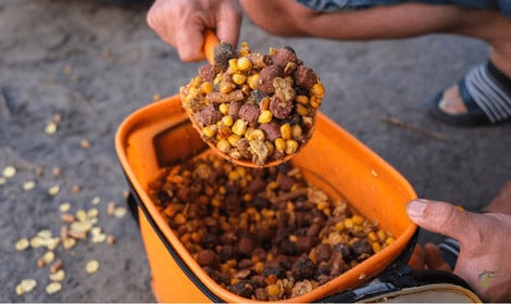 How to Catch Carp Quickly - Bucket of Pre bait mix