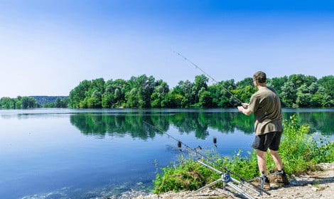 How to Catch Carp Quickly - Carp angler on sunny day beside lake
