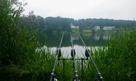 How to Catch Carp Quickly - Carp fishing in the rain