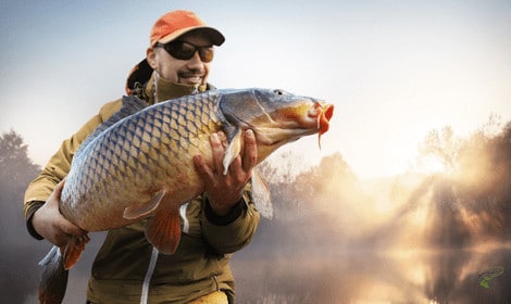 How to Catch Carp Quickly - Man holding carp close to camera