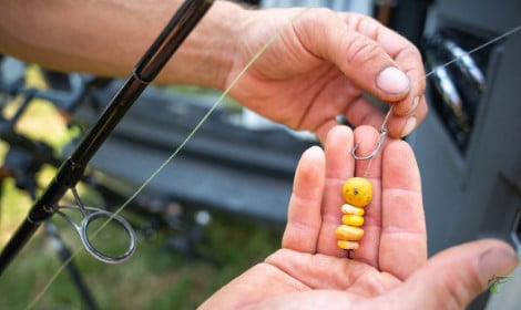 How to put sweetcorn on a hook -  Angler with corn on hair rig