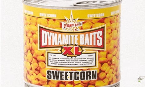 How to put sweetcorn on a hook - Dynamite Sweetcorn