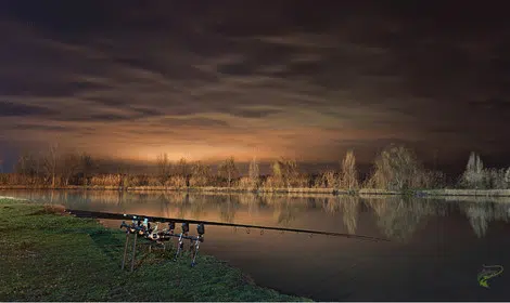 Where do carp go at night Rods in water at night-min