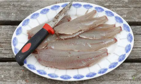 Can you eat perch - Filleted Perch on Plate